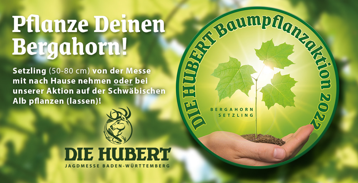 Tickets DIE HUBERT Baumpflanzaktion zum Mitmachen , Bergahorn-Setzlinge für den Klimaschutz in Münsingen